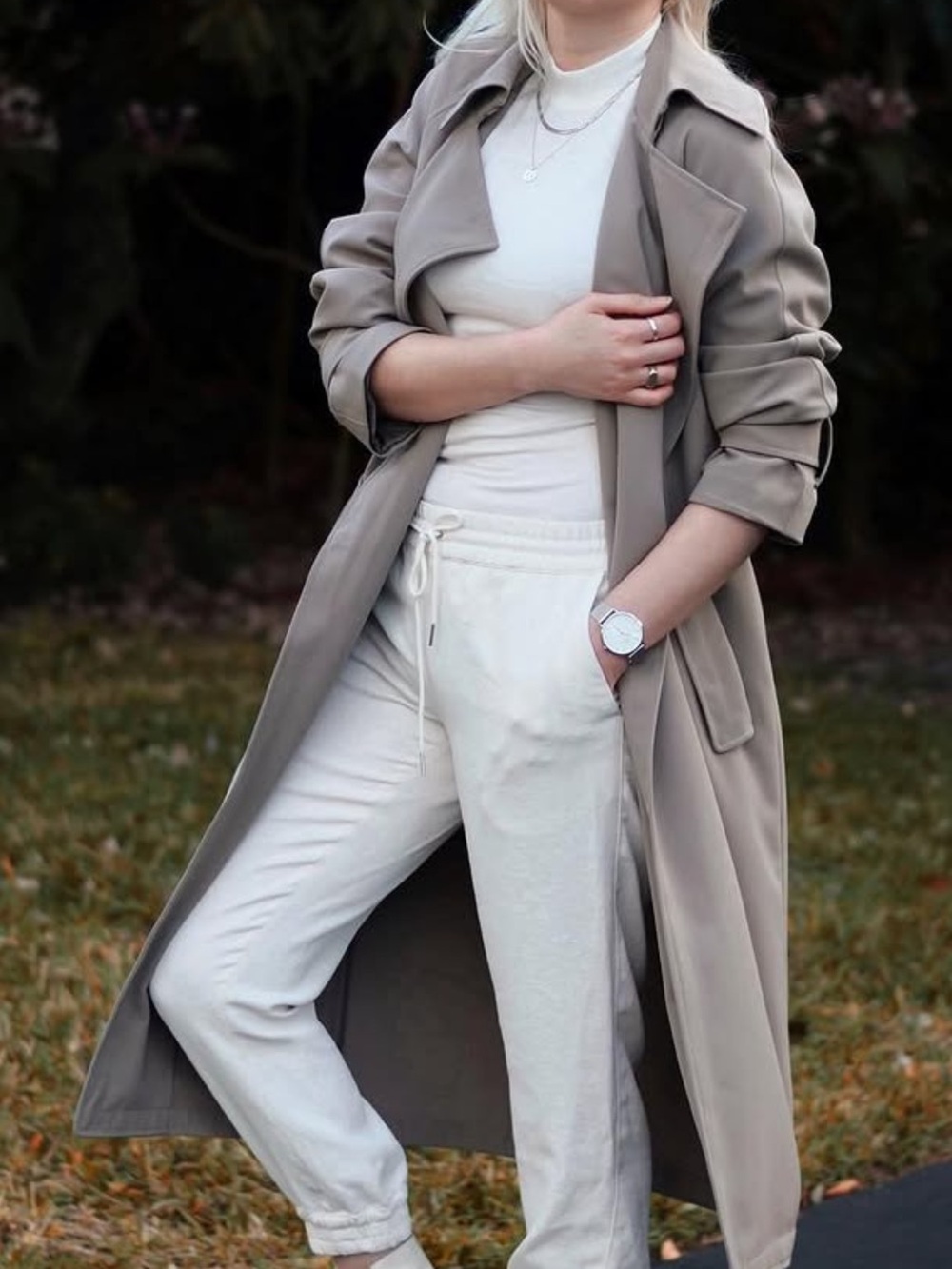 Aritzia - Babaton Taupe gray Trench Coat with Notch Lapel - Picture 8 of 8
